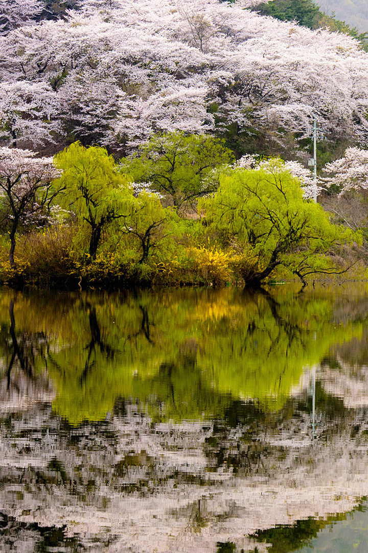 Весеннее озеро