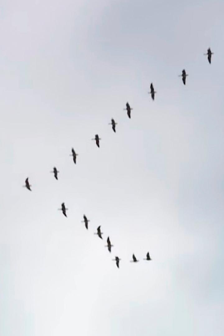 Дороги войны. Богородица "Ратная" из Вяземского котла