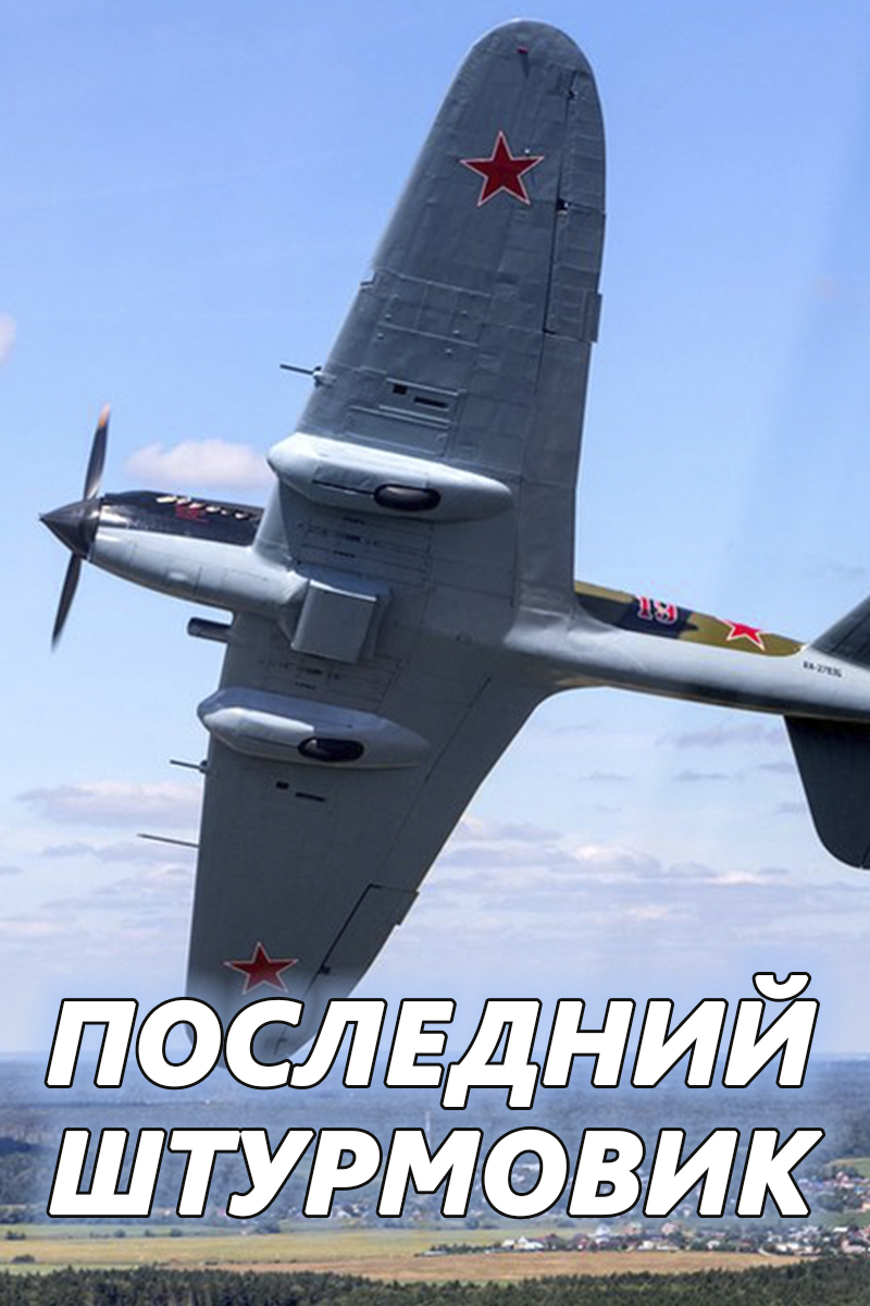 Последний штурмовик