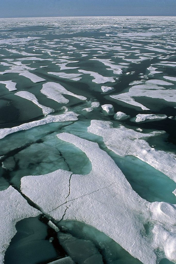 Белое безмолвие