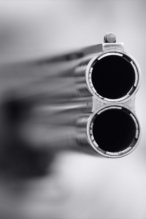 Байки из леса