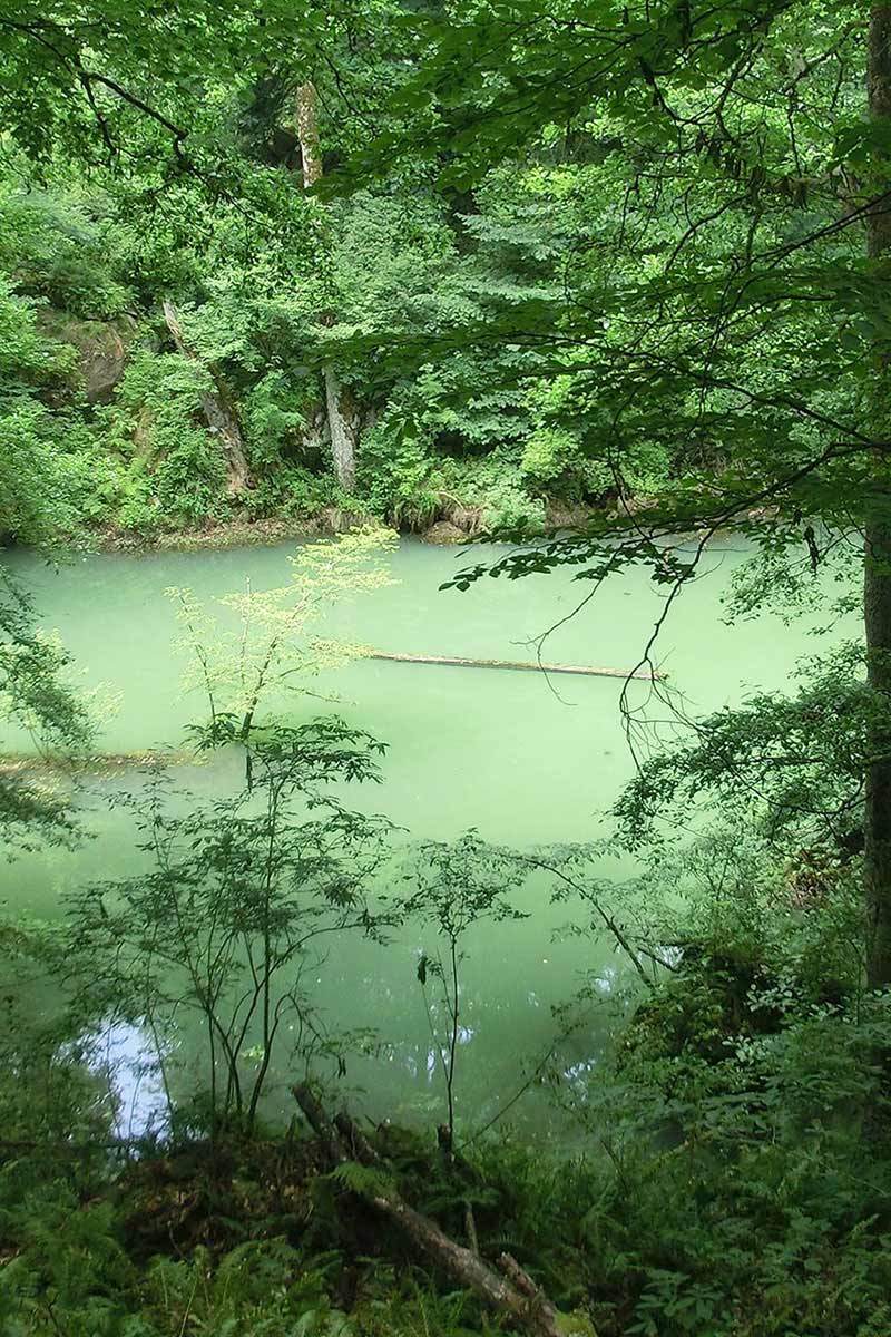 Ведьмино озеро