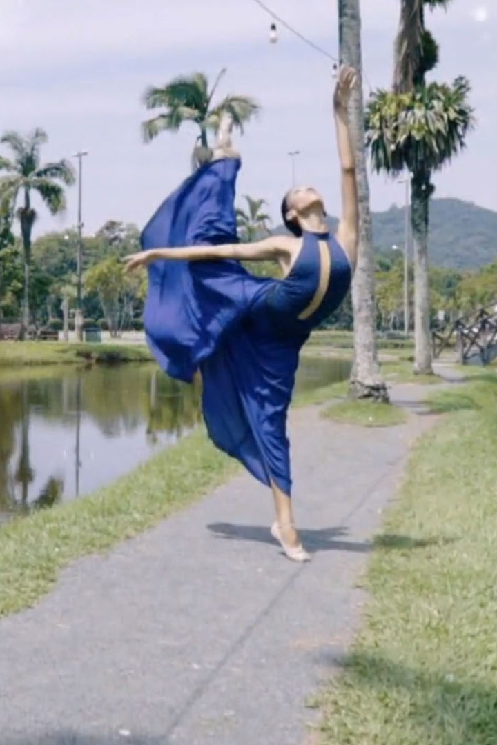 Большой балет Бразилии