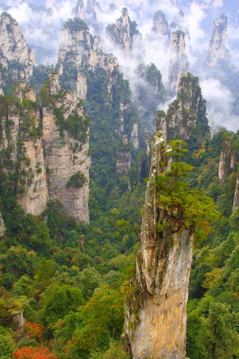 Парящий каменный лес Китая