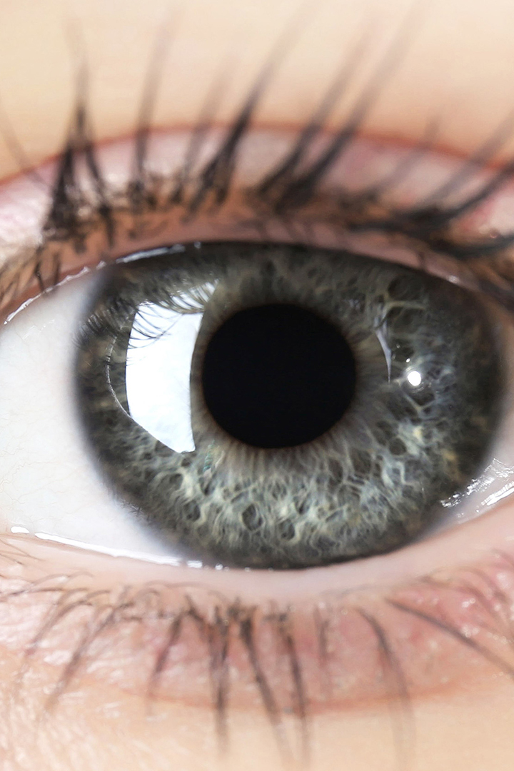 Proзрение с доктором Шиловой