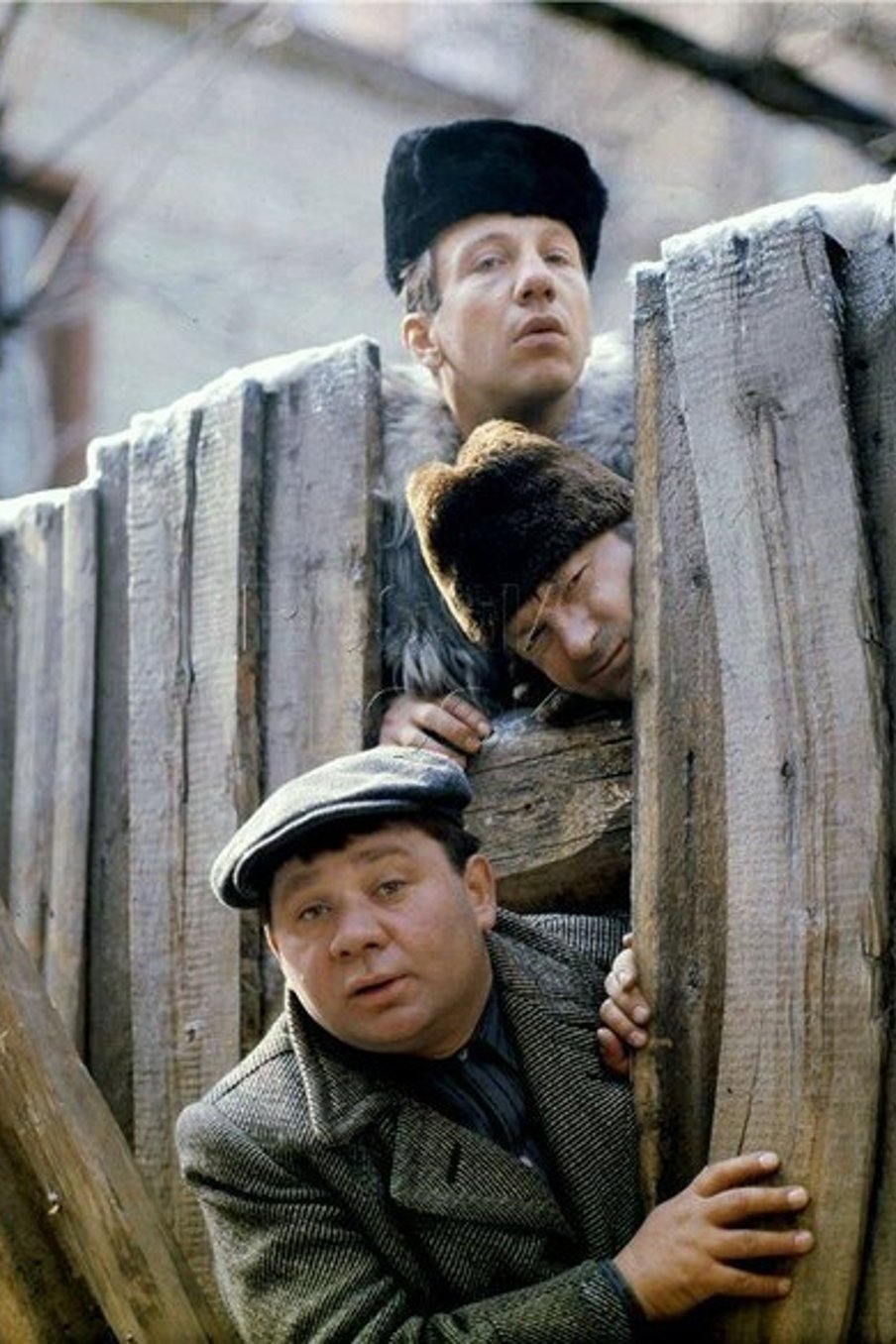 Джентльмены удачи. Я злой и страшный серый волк