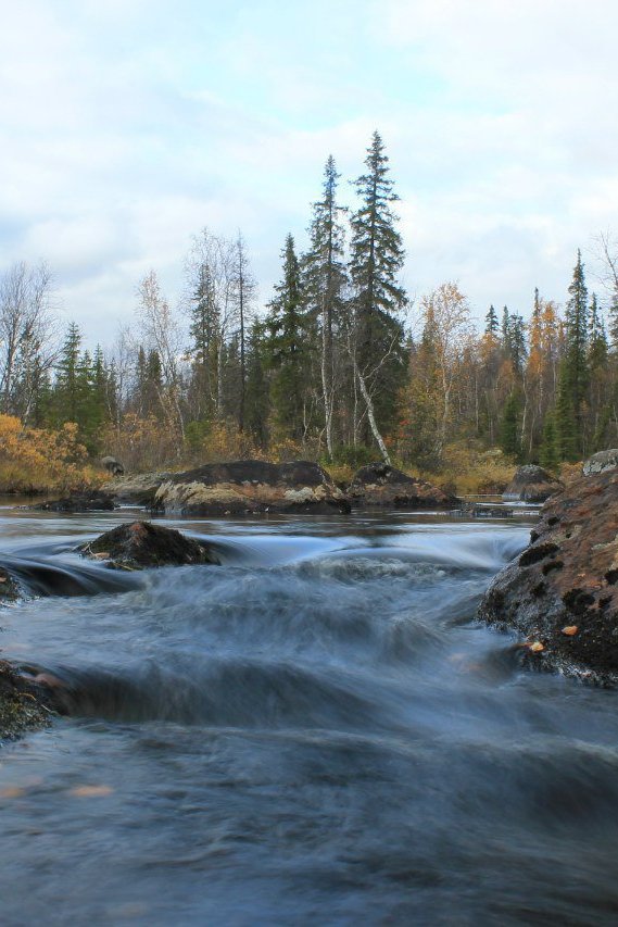 Ручей Вензин