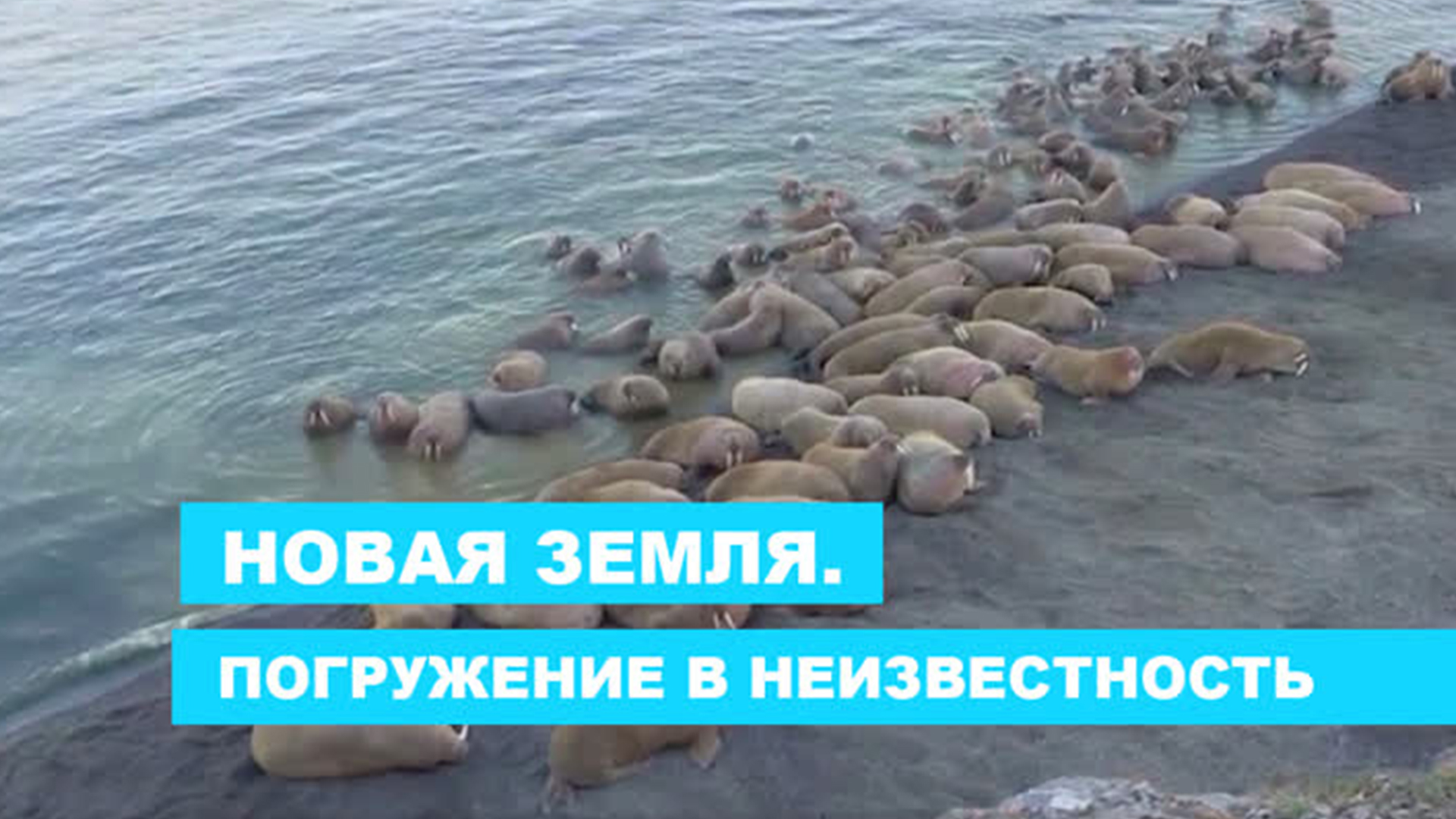 Новая Земля. Погружение в неизвестность