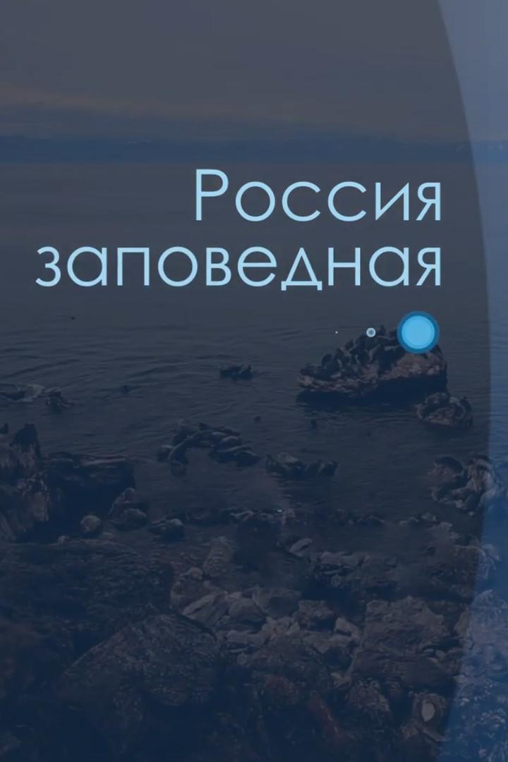 Россия заповедная