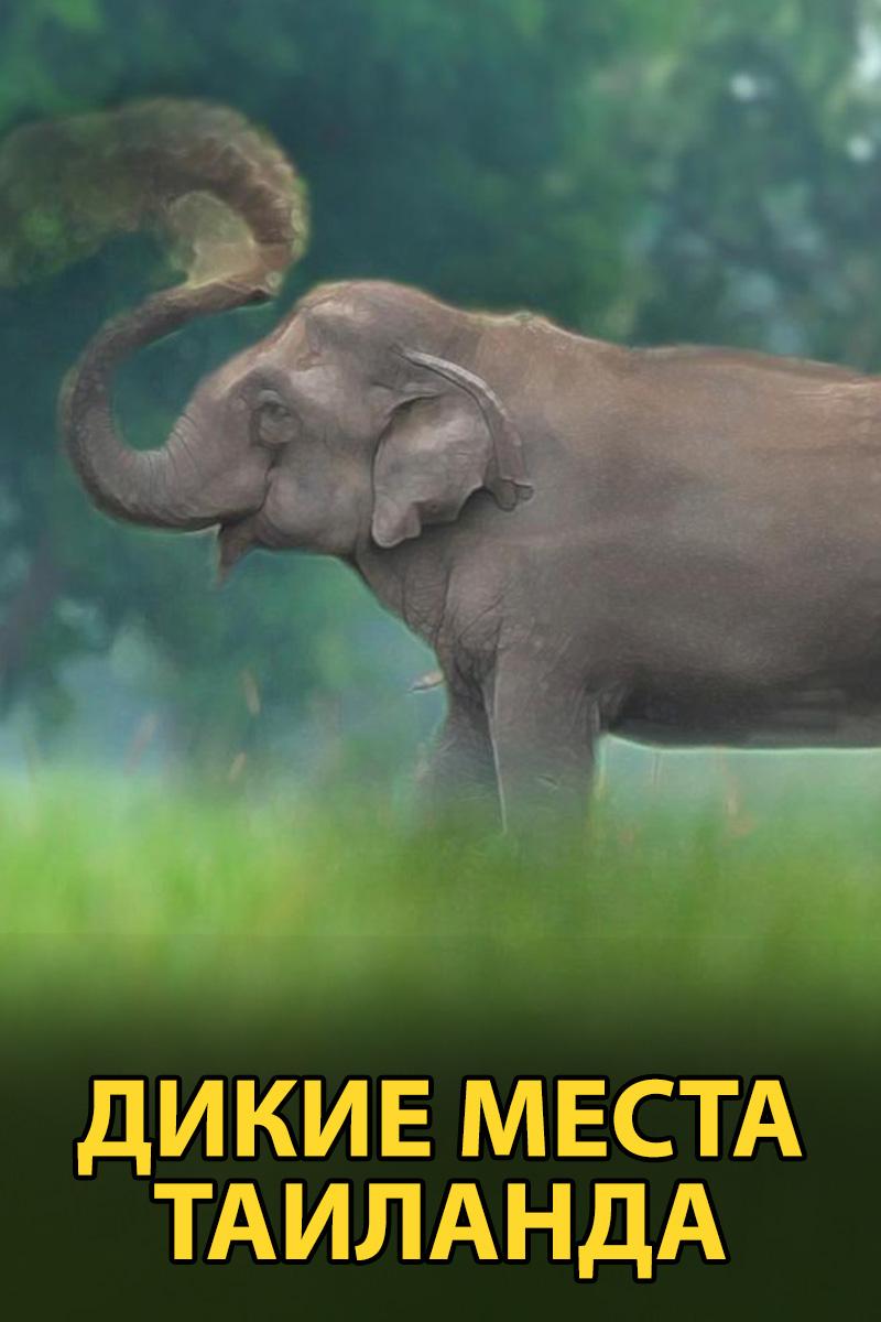 Дикие места Таиланда