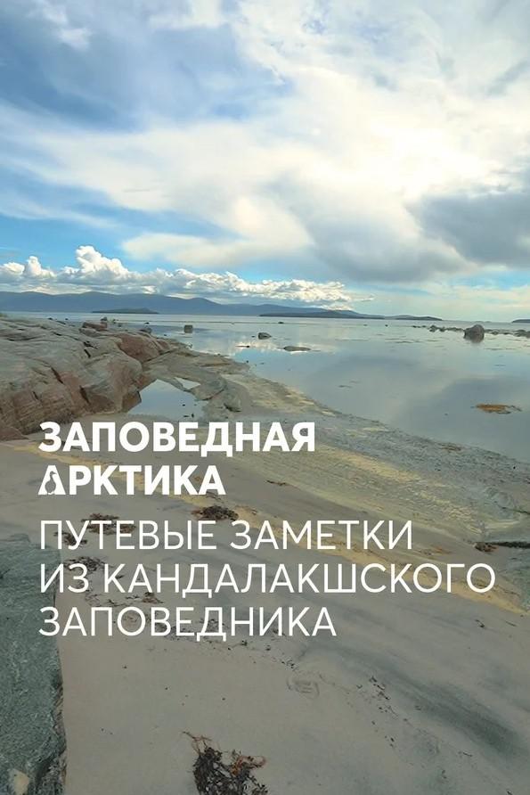 Заповедная Арктика. Путевые заметки из Кандалакшского заповедника