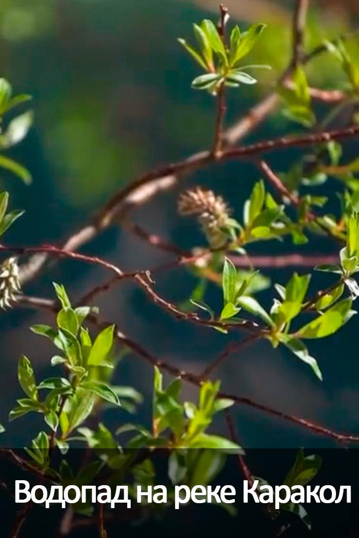 Водопад на реке Каракол