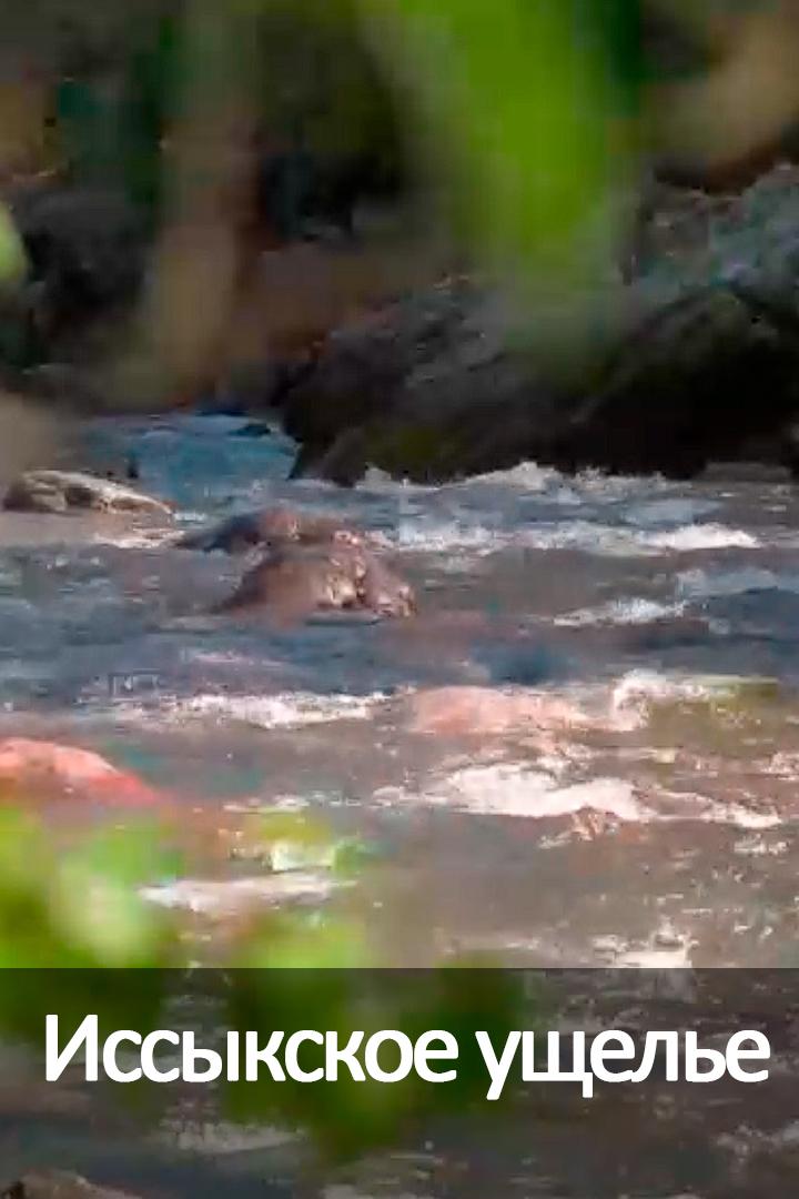 Иссыкское ущелье
