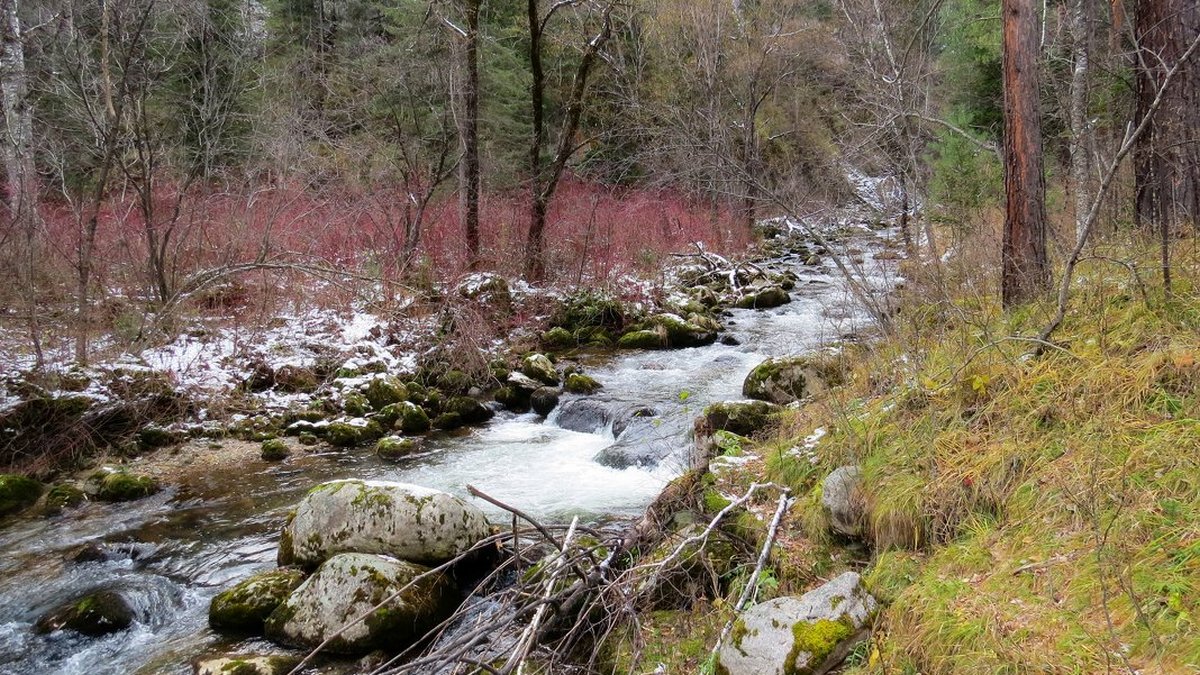 Ручей Сойотка