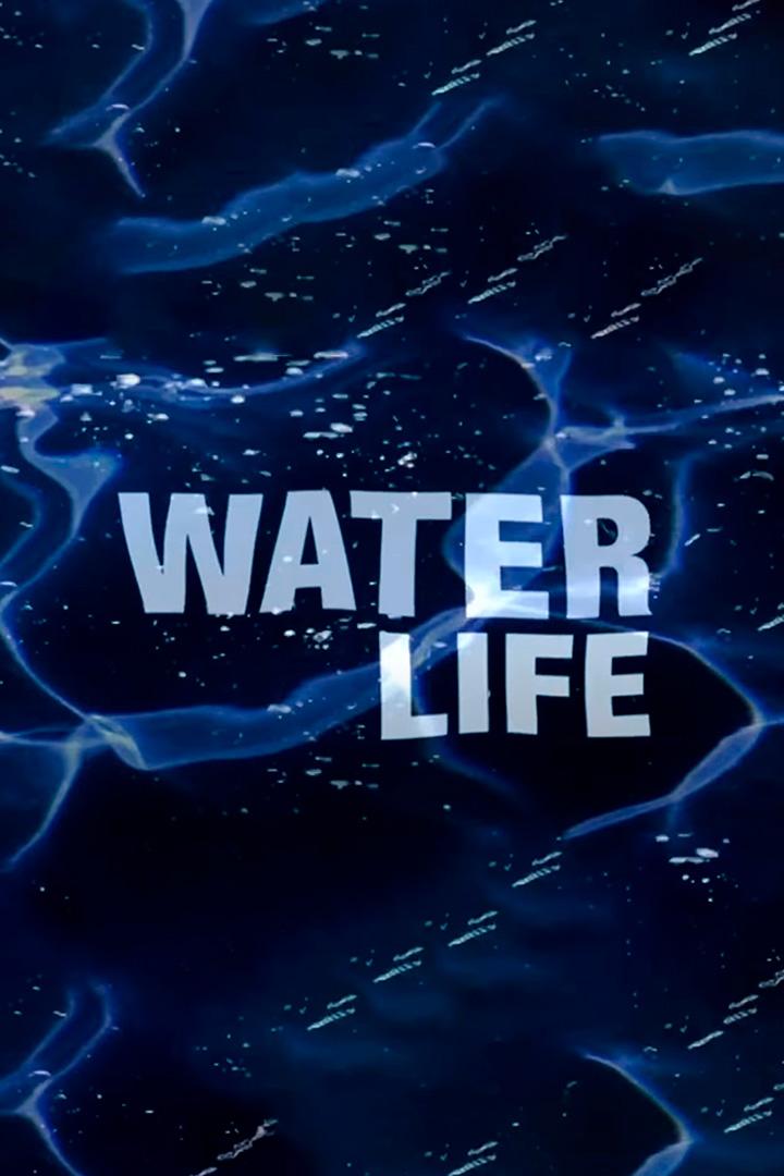 Синие просторы