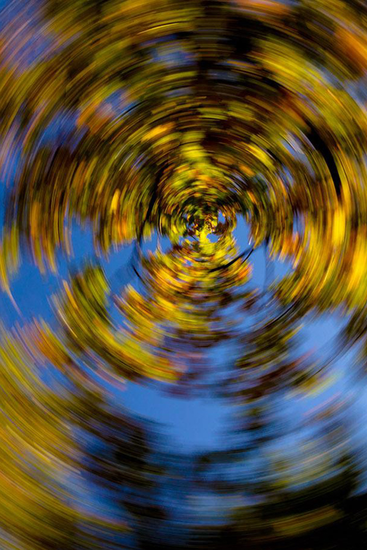 Круговорот жизни