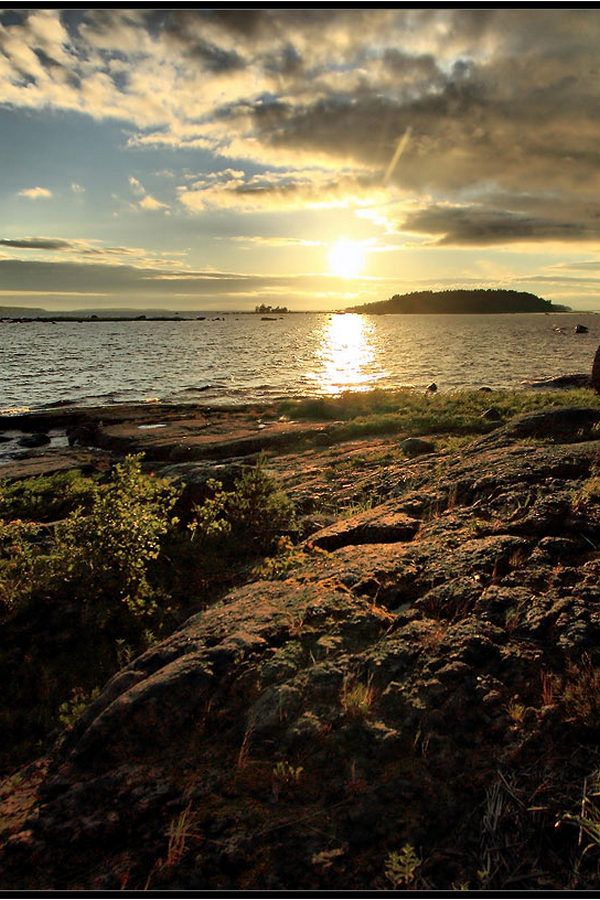 Выборгский залив