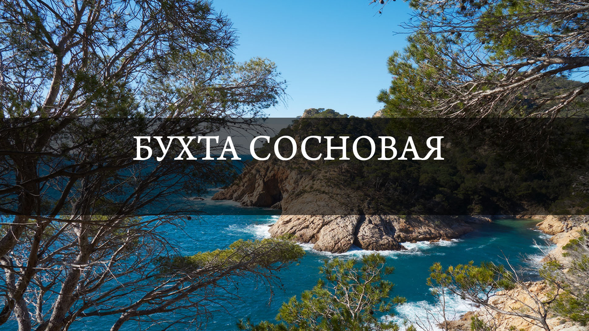 Бухта Сосновая