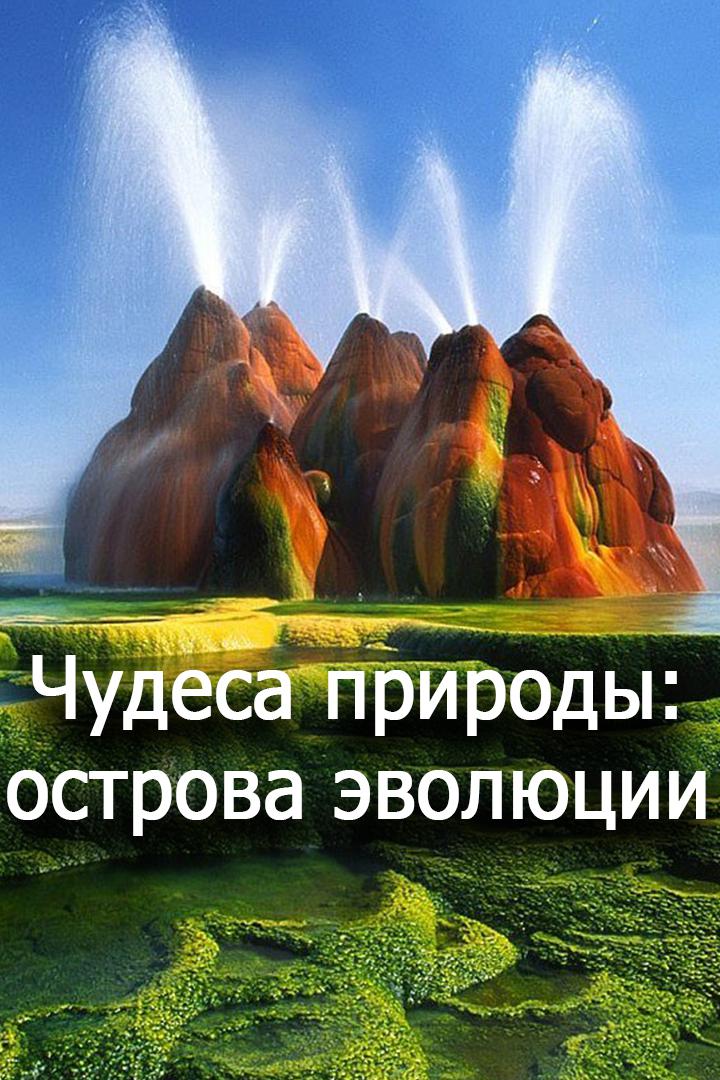 Чудеса природы: острова эволюции