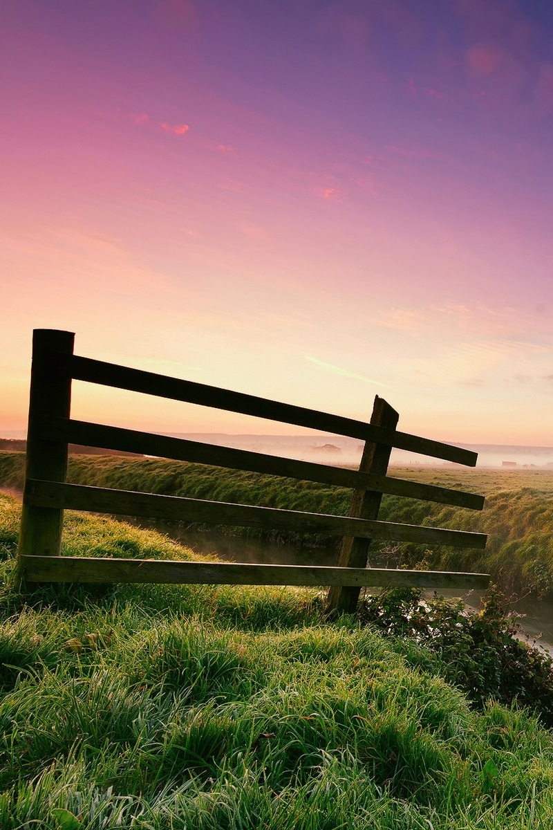 Вот моя деревня