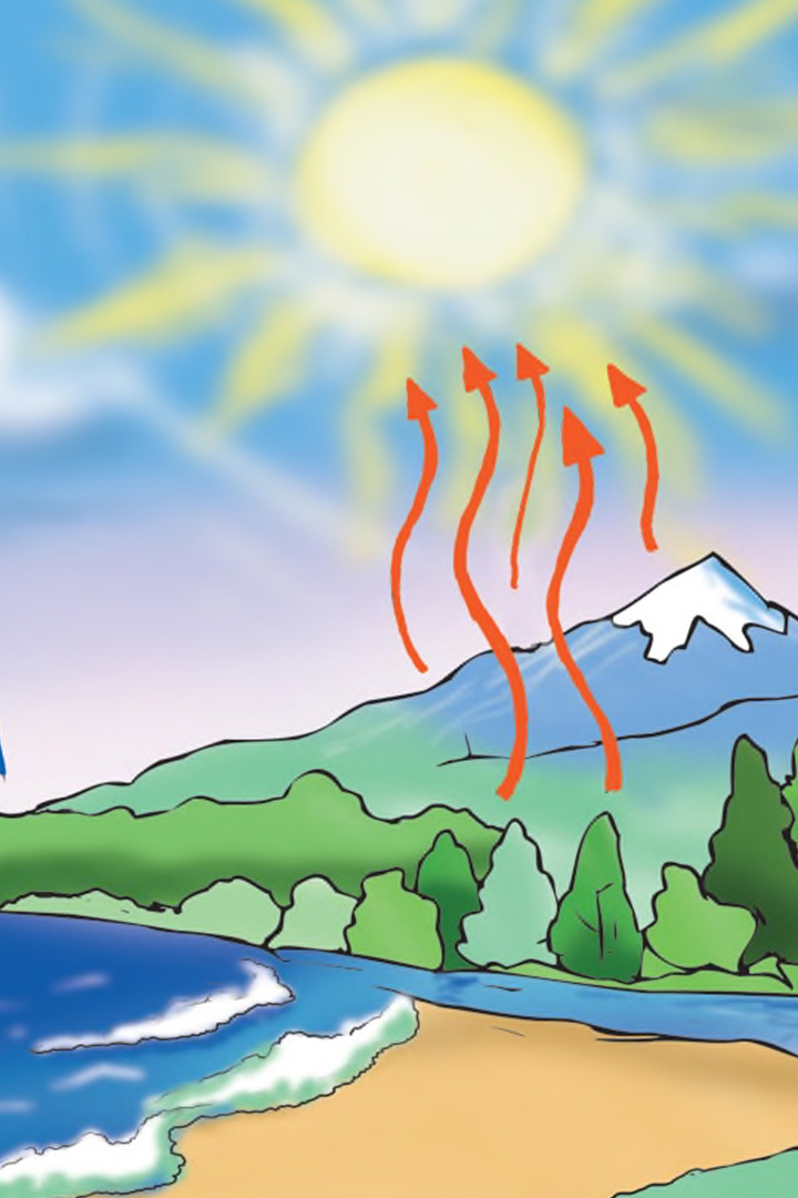 Оли и циклы природы