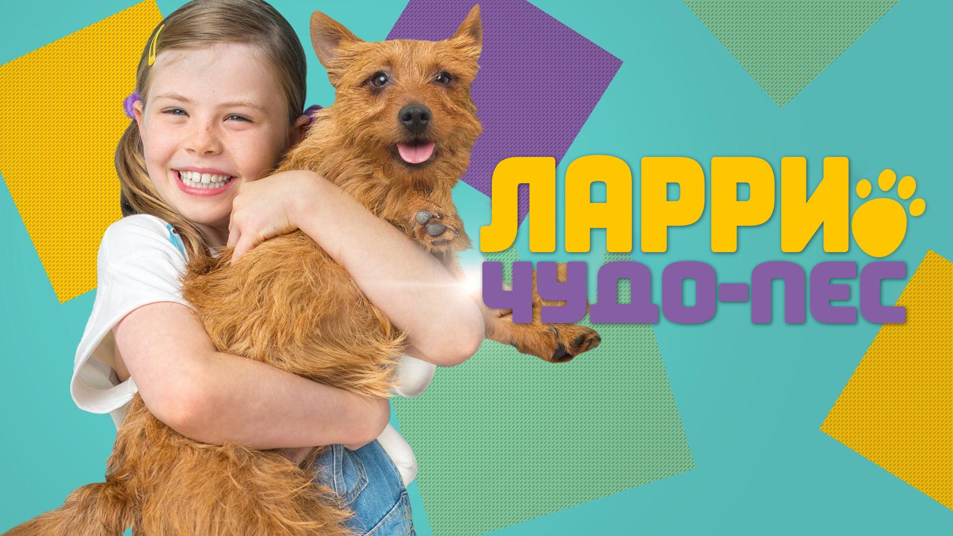 Ларри, чудо-пёс