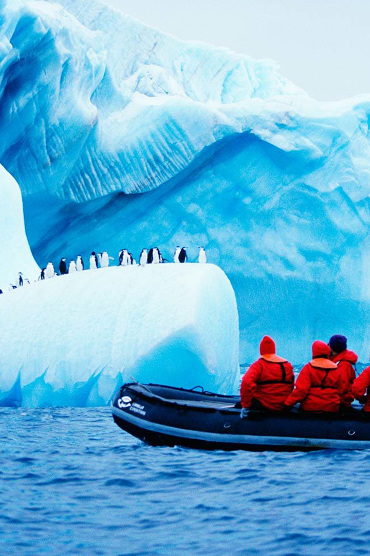 Арктическая экспедиция: дайвинг на полюсе