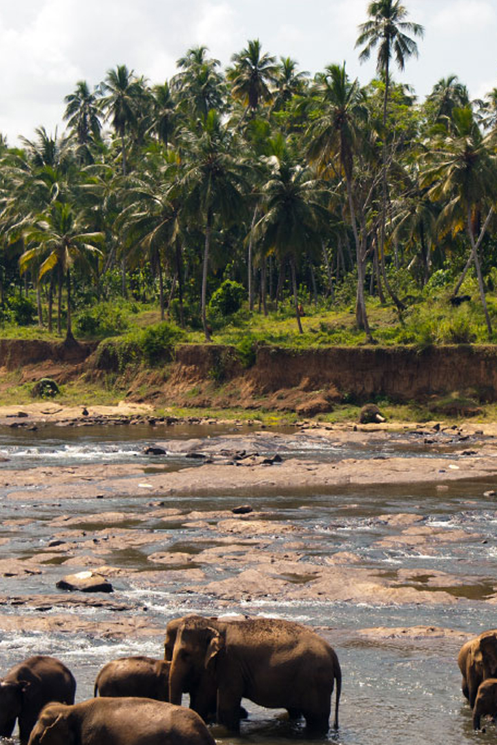 Национальный парк Удавалаве