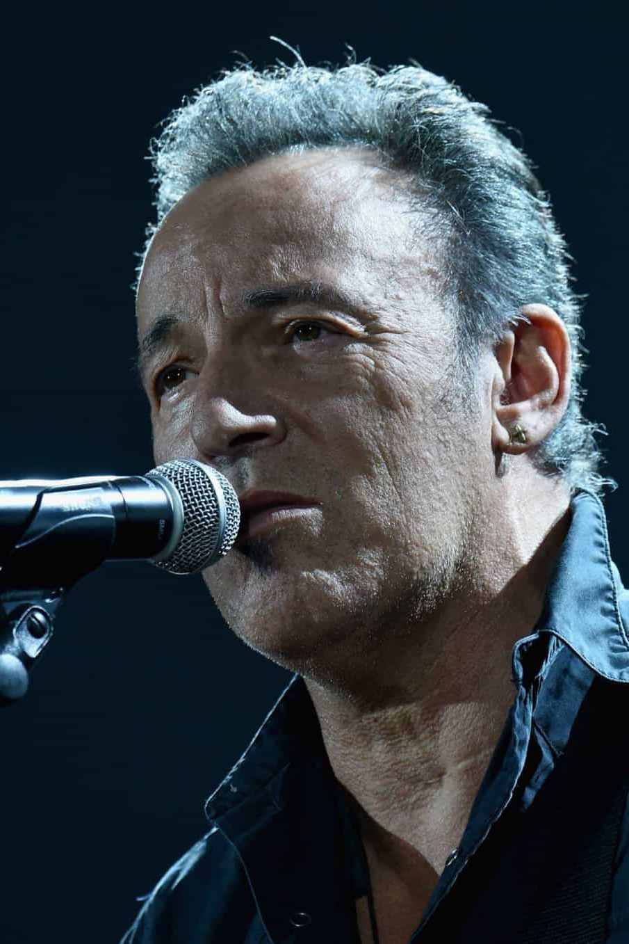Bruce Springsteen - Music In Review