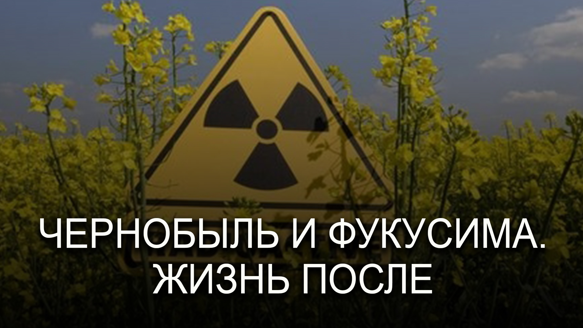 Чернобыль и Фукусима. Жизнь после