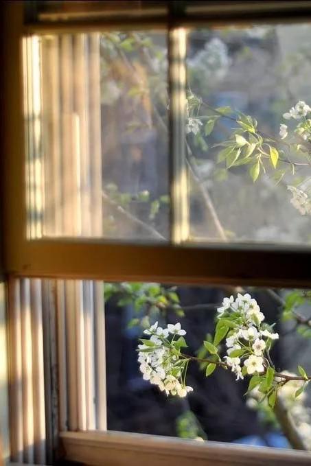 Окно, распахнутое в весну