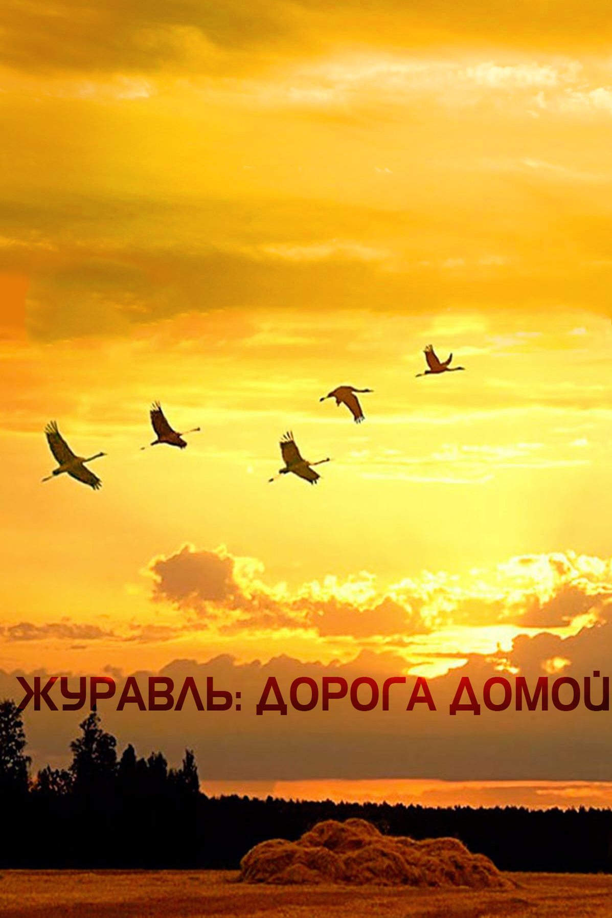 Журавль: дорога домой