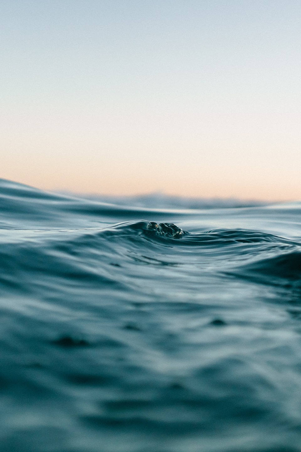 Юнги "Святого Космы"