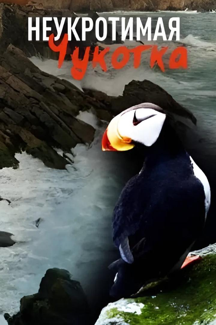 Неукротимая Чукотка