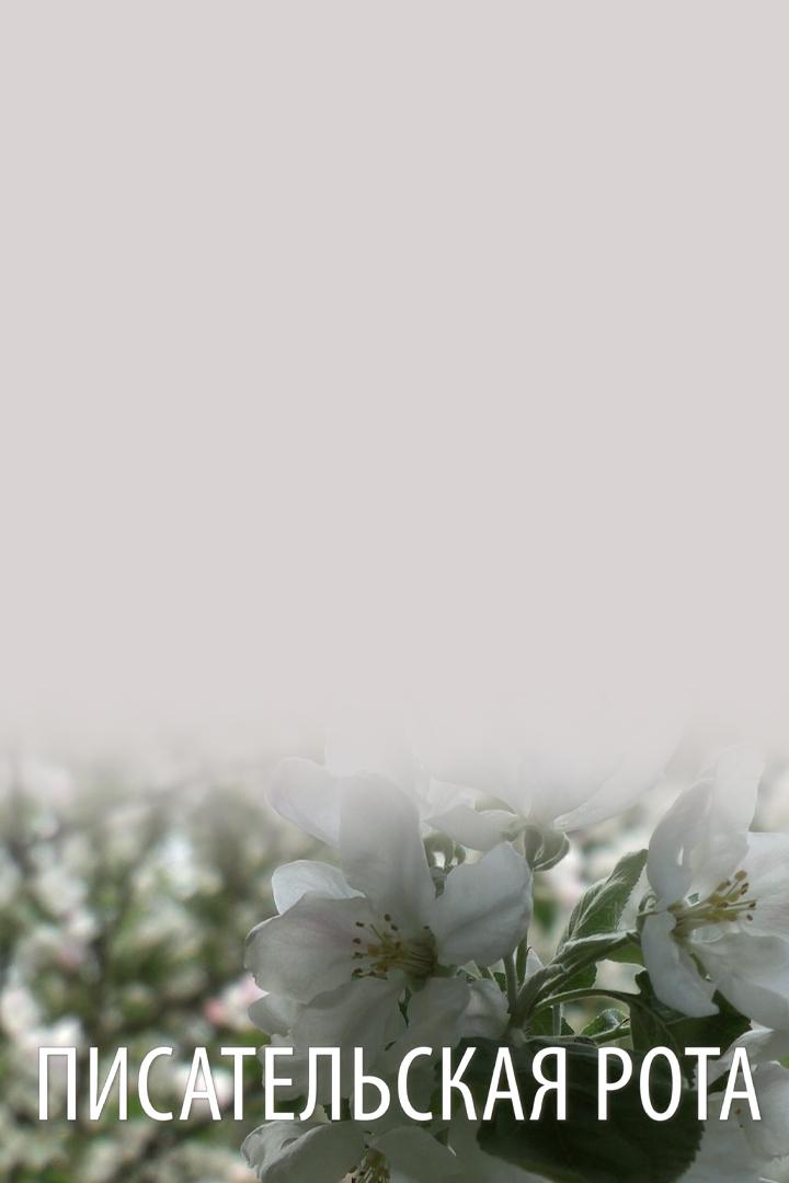 Писательская рота