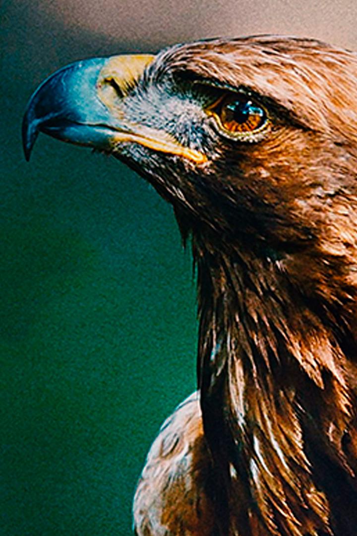 Удивительная Дания