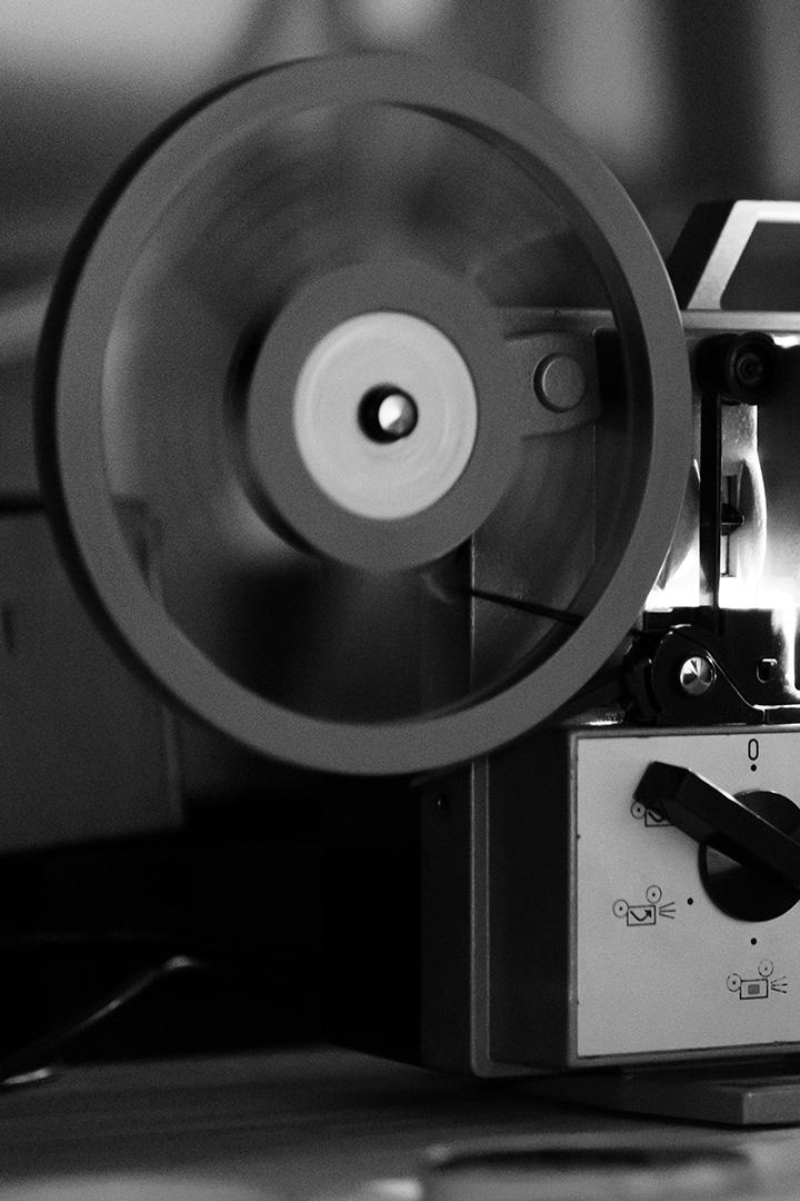 Мой верный конь