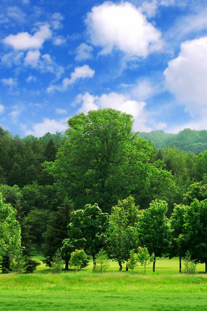 Танцы на свежем воздухе