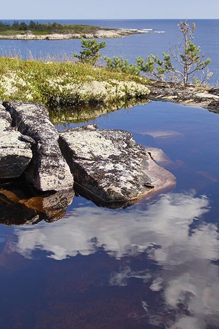 К Белому морю