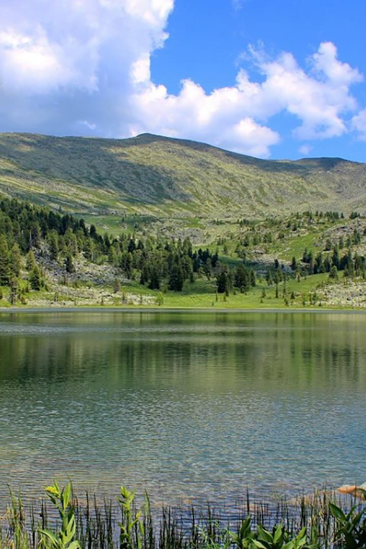 Тайны Астраханского заповедника. Цветок Будды