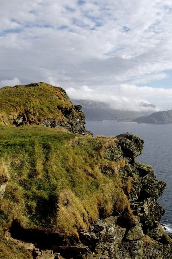 Барибалы на краю Земли