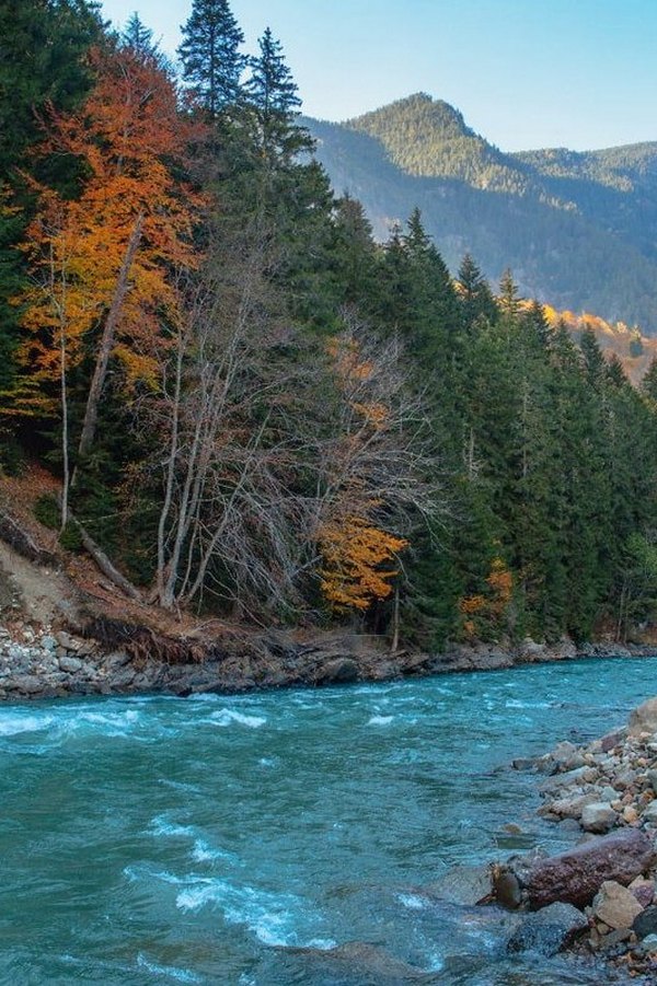 Река Большая Лаба