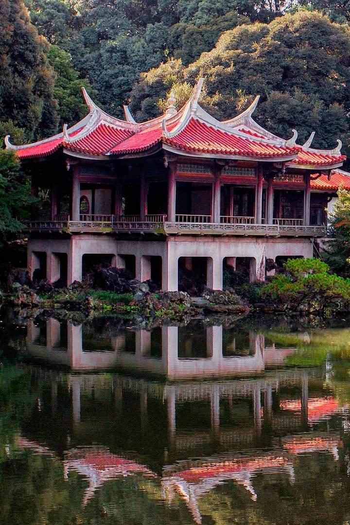 Дикий Токио