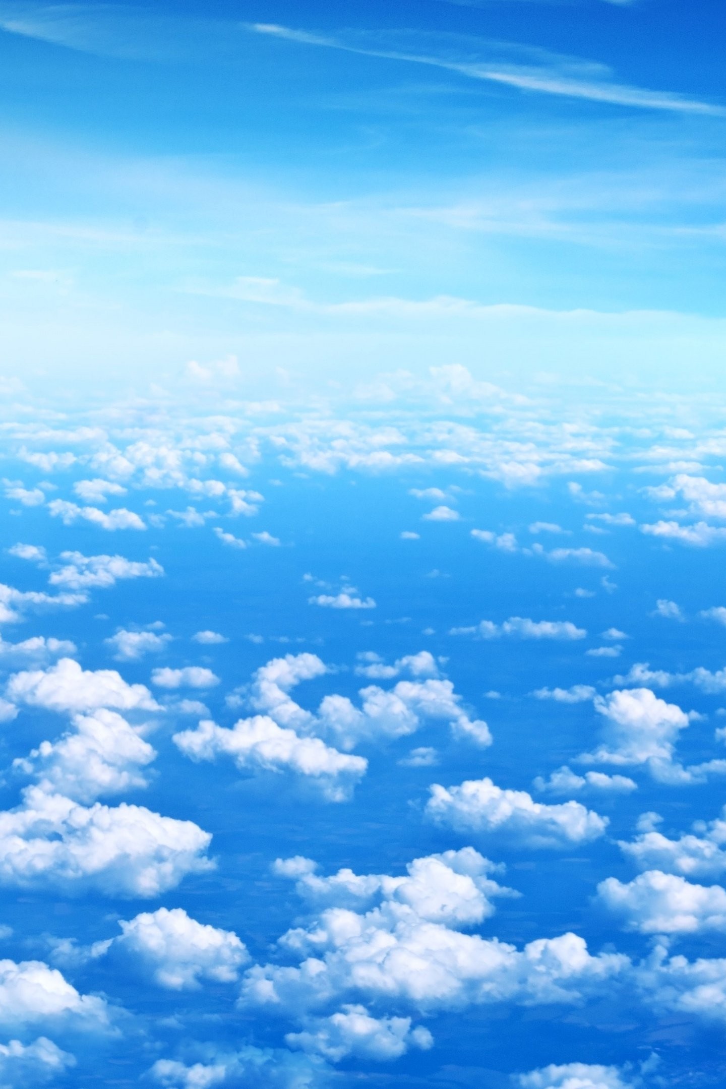 Дефункциональность