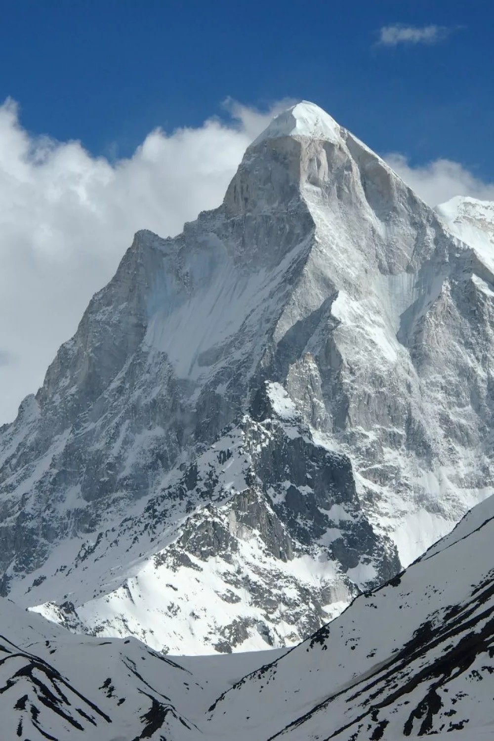 Полет длиною в Гималаи