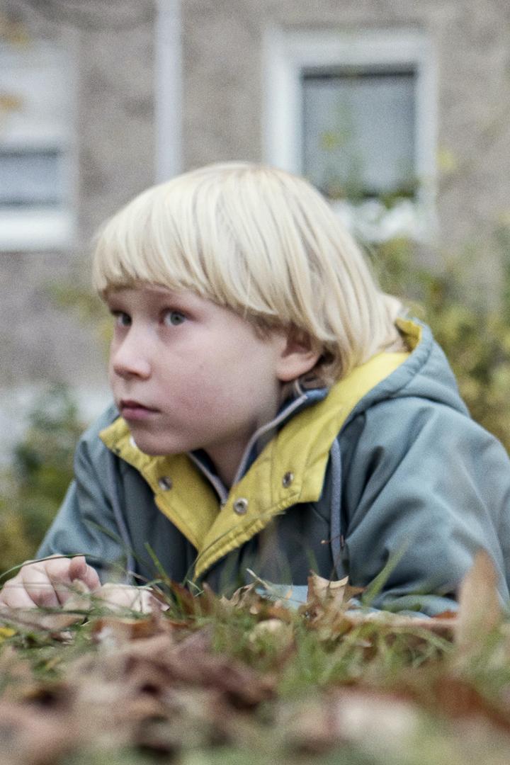 Земля за стеной