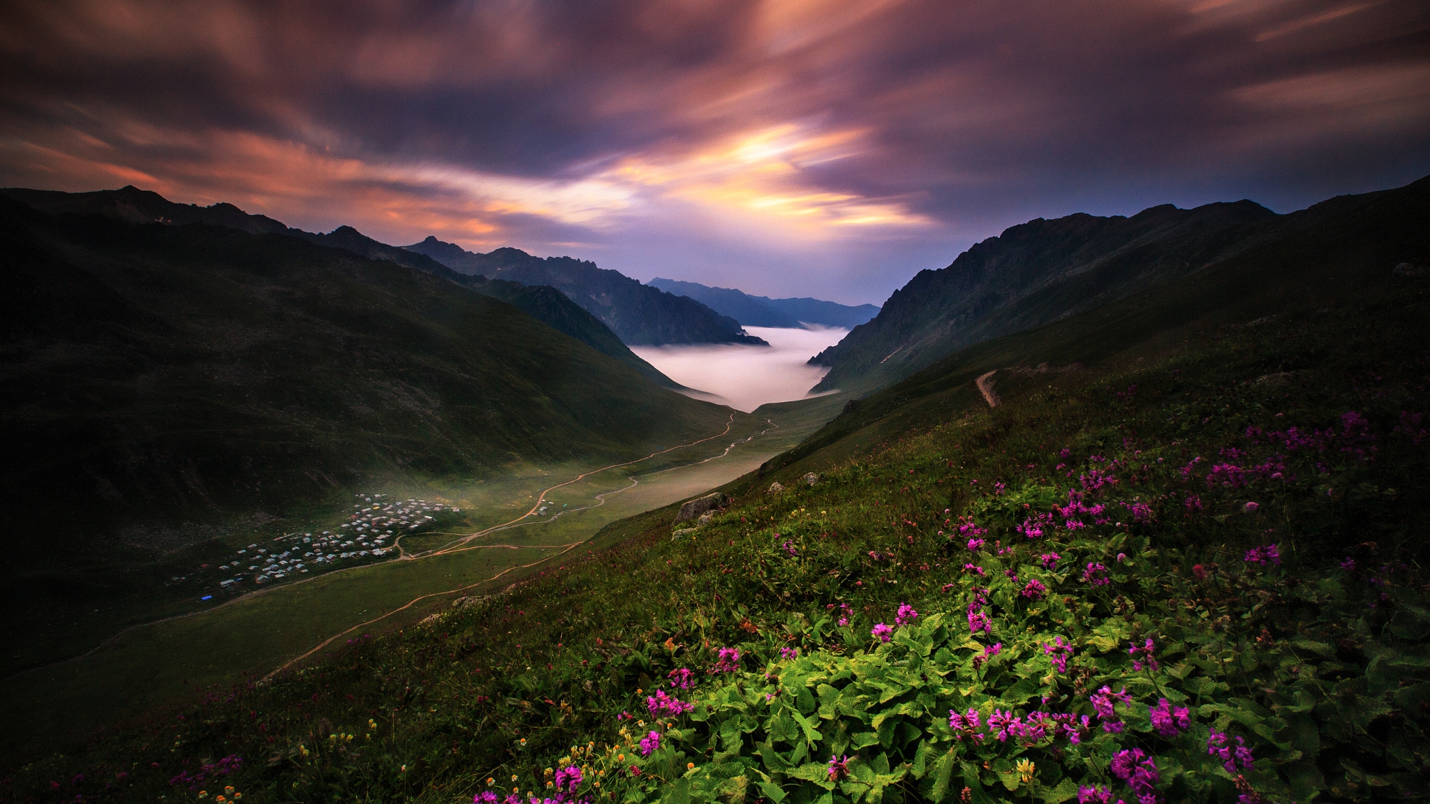 Загеданские цветы