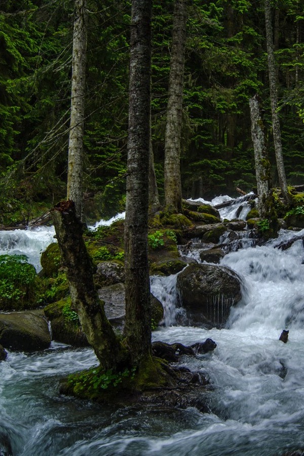 Водопад Шумка