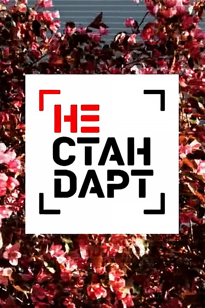 Нестандарт