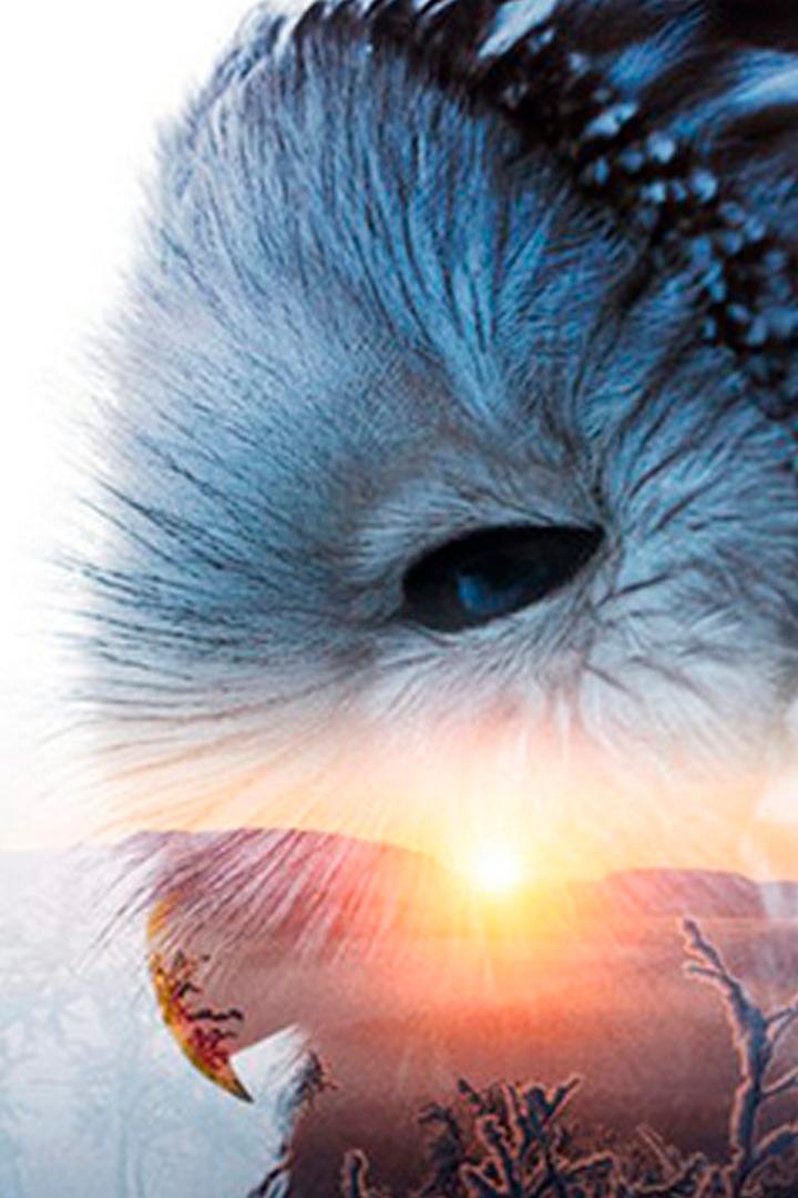 Горная симфония